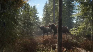 theHunter: Call of the Wild™ screenshot 1