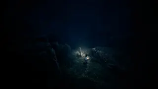 REANIMAL screenshot 9