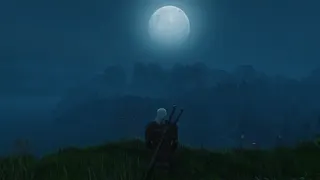 The Witcher 3: Wild Hunt screenshot 20