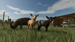 Farming Simulator 25 screenshot 2