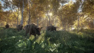 theHunter: Call of the Wild™ screenshot 21