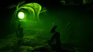 Forest Doesn’t Care screenshot 30