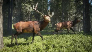 theHunter: Call of the Wild™ screenshot 14