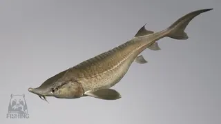 Russian Fishing 4 screenshot 63