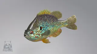 Russian Fishing 4 screenshot 12