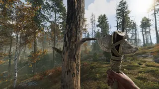 Rust screenshot 9
