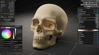 HAELE 3D - Portrait Studio Pro - Drawing References screenshot 4