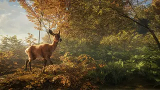 theHunter: Call of the Wild™ screenshot 12
