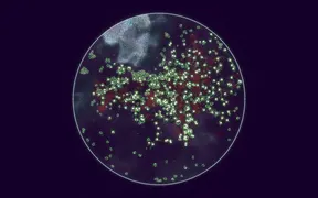 Substrate: Emergence screenshot 10
