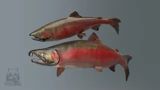 Russian Fishing 4 screenshot 61