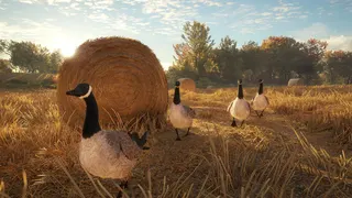 theHunter: Call of the Wild™ screenshot 11
