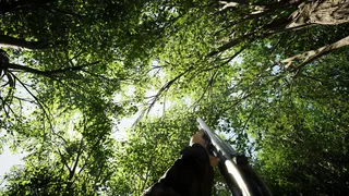 Forest Doesn’t Care screenshot 31