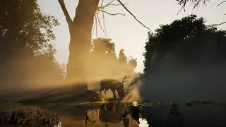 Forest Doesn’t Care screenshot 22