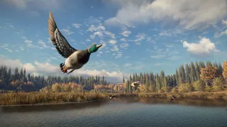 theHunter: Call of the Wild™ screenshot 4