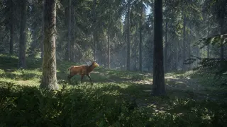theHunter: Call of the Wild™ screenshot 17