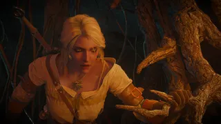 The Witcher 3: Wild Hunt screenshot 6
