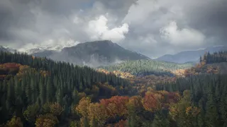 theHunter: Call of the Wild™ screenshot 22