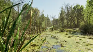Forest Doesn’t Care screenshot 29