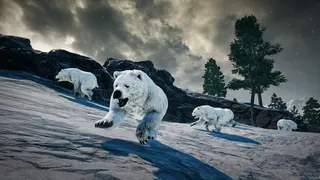 PUBG: BATTLEGROUNDS screenshot 15