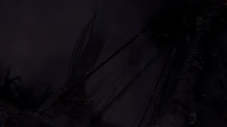RADIOSOL screenshot 13