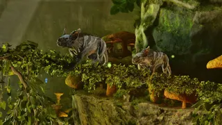 ARK: Survival Ascended screenshot 31
