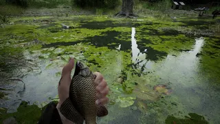 Forest Doesn’t Care screenshot 25