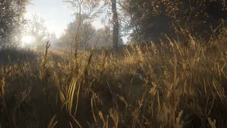 theHunter: Call of the Wild™ screenshot 7