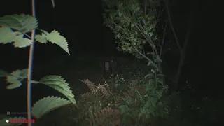 Sector 13: Haunted Woods screenshot 17