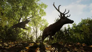 Forest Doesn’t Care screenshot 21