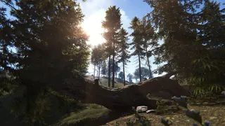 Rust screenshot 22