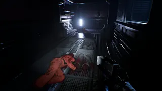 Species: Unknown screenshot 8