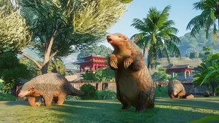 Planet Zoo screenshot 25
