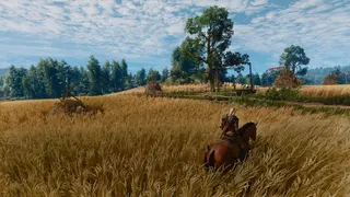 The Witcher 3: Wild Hunt screenshot 17