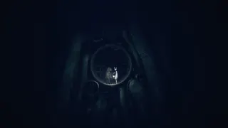 REANIMAL screenshot 12