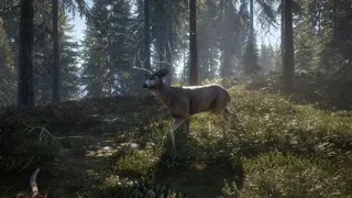 theHunter: Call of the Wild™ screenshot 24