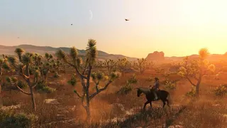 Red Dead Redemption screenshot 4