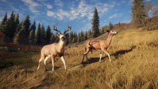 theHunter: Call of the Wild™ screenshot 10