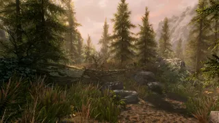 The Elder Scrolls V: Skyrim Special Edition screenshot 7