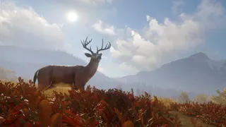 theHunter: Call of the Wild™ screenshot 9