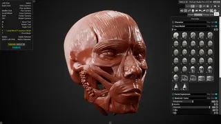 HAELE 3D - Portrait Studio Pro - Drawing References screenshot 31