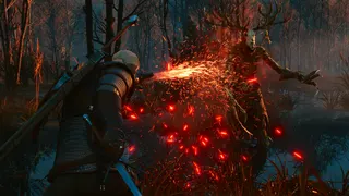 The Witcher 3: Wild Hunt screenshot 2