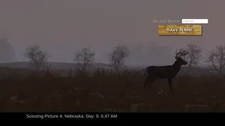 Deer Hunting - The Season 2 screenshot 23