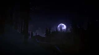 The Long Dark screenshot 11