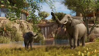 Planet Zoo 2 screenshot 19
